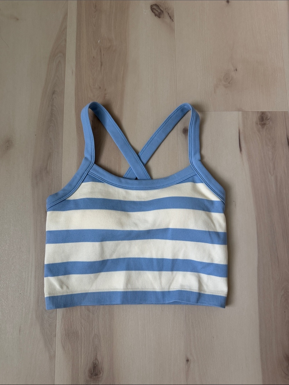 wild fable Blue and Cream Striped Crop Tank